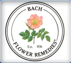 Bach Flower Remedies. bach flower